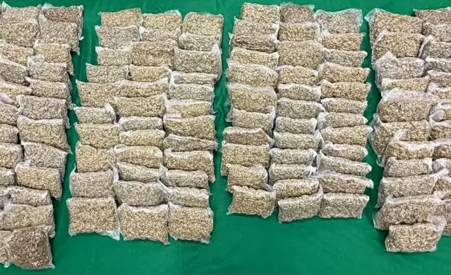 檢獲的懷疑大麻花。 政府新聞處圖片