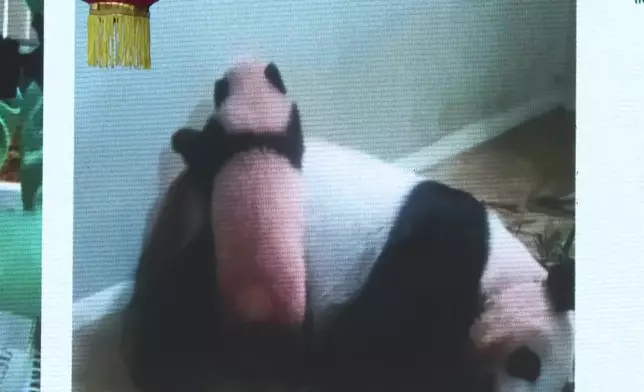 影片截圖 CGTN圖片
