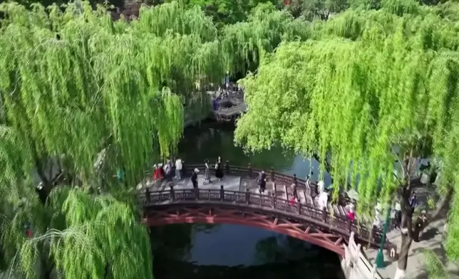 影片截圖 CGTN圖片