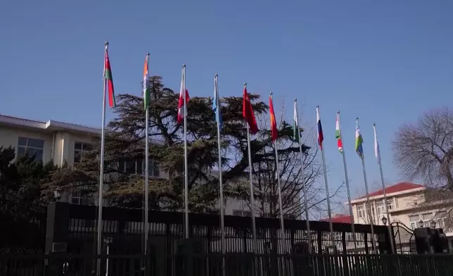 影片截圖 CGTN圖片