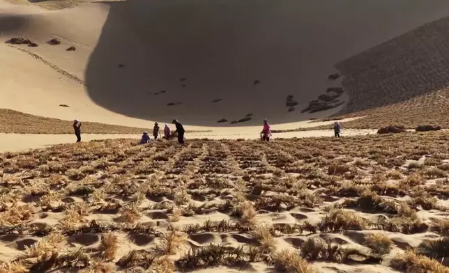 影片截圖 CGTN圖片