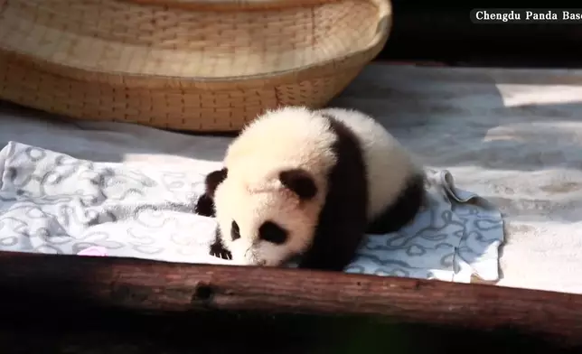 影片截圖 CGTN圖片