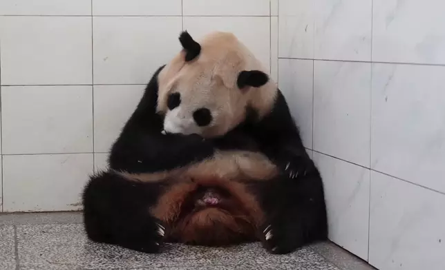 影片截圖 CGTN圖片