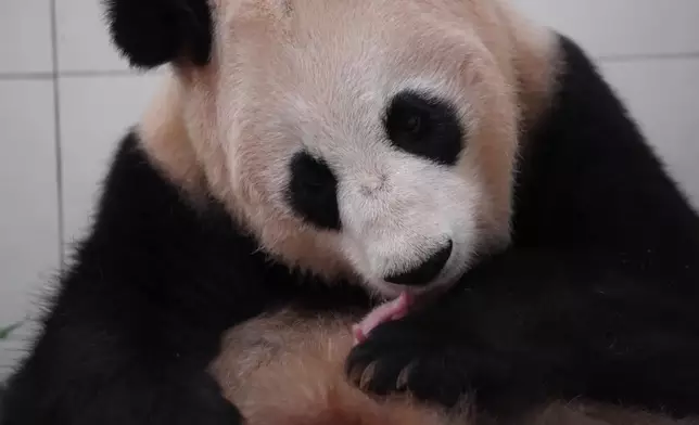 影片截圖 CGTN圖片