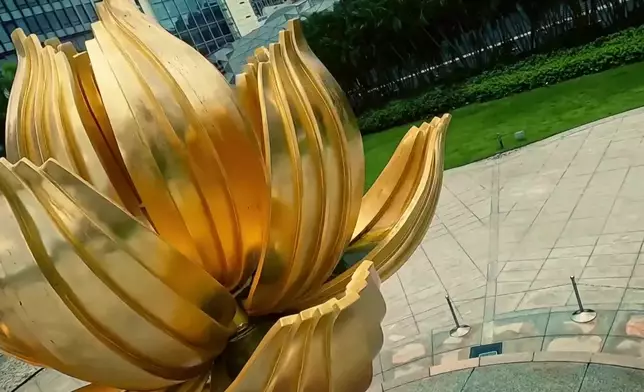 影片截圖 CGTN圖片