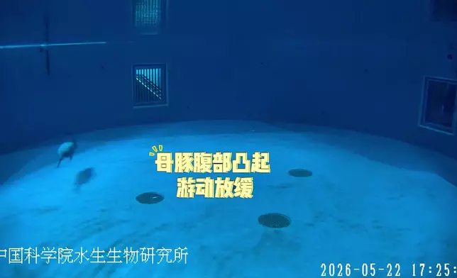 影片截圖 CGTN圖片