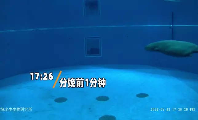 影片截圖 CGTN圖片