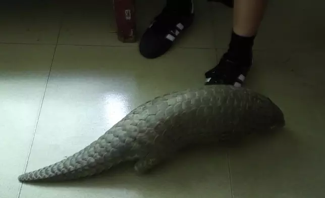 影片截圖 CGTN圖片