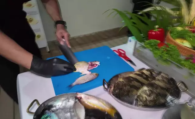 影片截圖 CGTN圖片