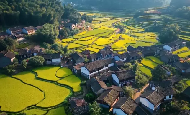 影片截圖 CGTN圖片