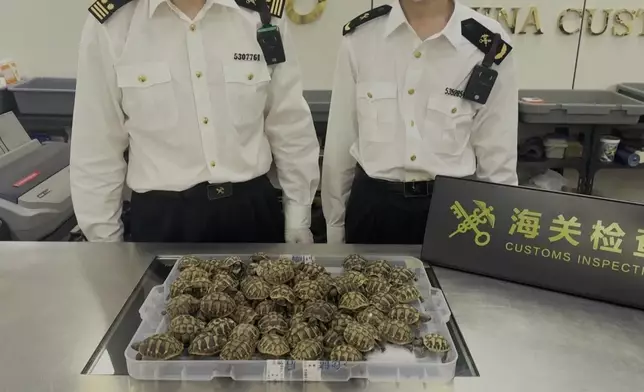 影片截圖 CGTN圖片