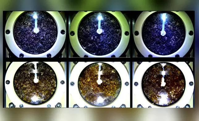 影片截圖 CGTN圖片