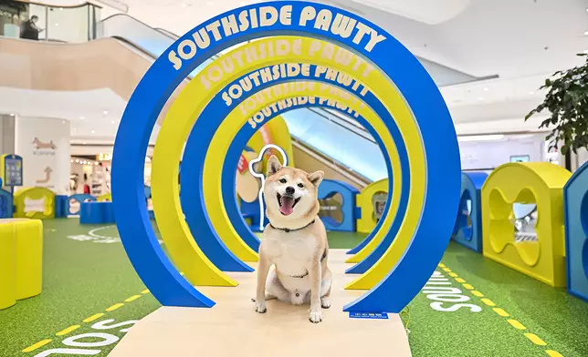 Pawfect Runway 讓狗狗進行穿梭訓練
