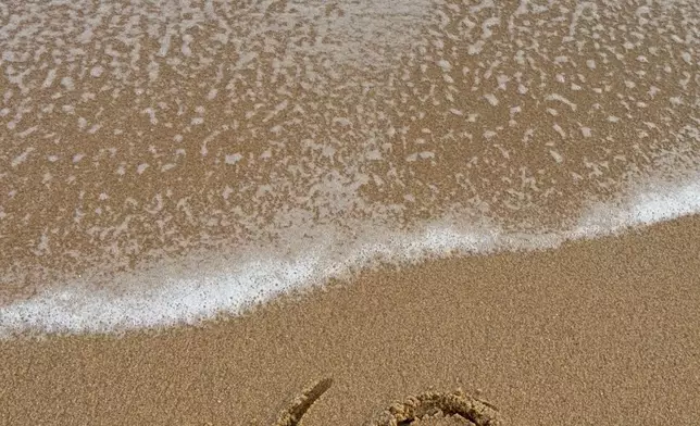 陳自瑤IG圖片
