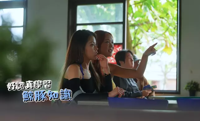 參加賞鯨團前要先上課。
