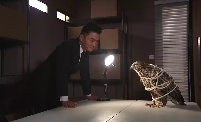 沙湯遠捉到「小偷」喇！