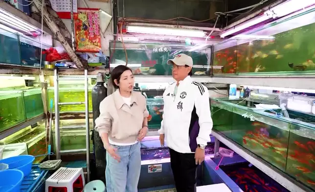 鍾意養魚嘅校長，屋企最多曾有八個魚缸。