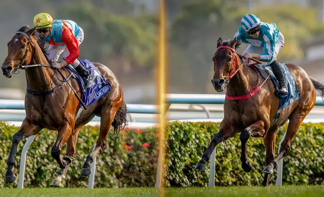 「嘉應高昇」及「浪漫勇士」一同榮登本年度香港馬王寶座