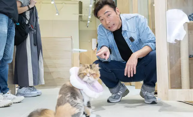 許志安分享寄養及領養動物的理念與故事。