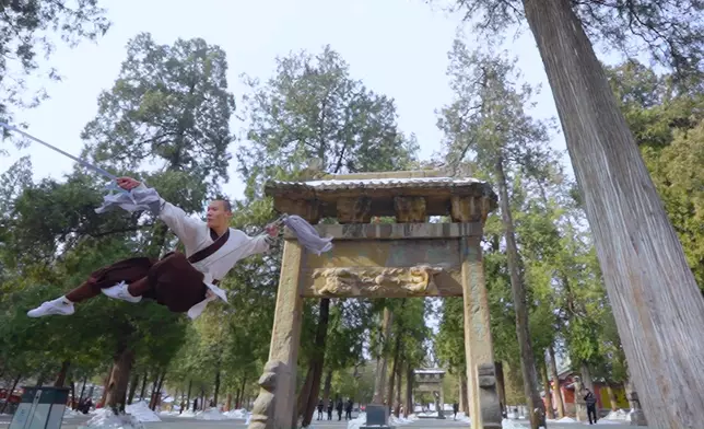 樊少皇係嵩山少林寺大顯身手。