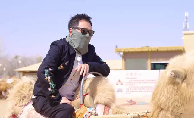 祥哥騎一隻「滿臉不想上班」駱駝，好好笑。