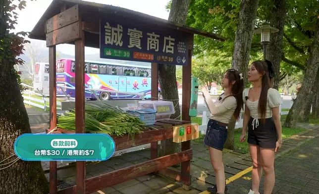 暉哥及Verena到訪台東初鹿牧場。