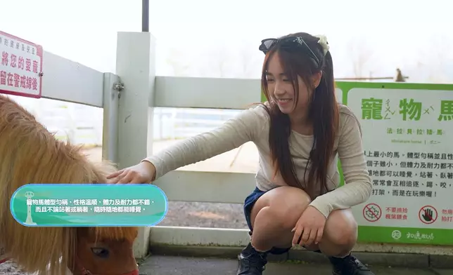 跟小動物近距離接觸。