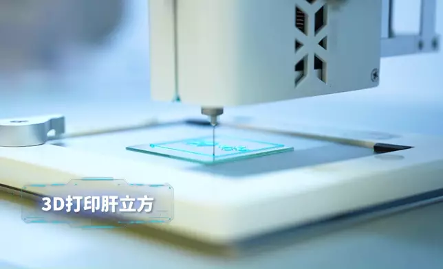 3D打印肝立方，幫助病患找出最佳治療方針。