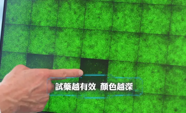 「擴展潛能幹細胞平台」