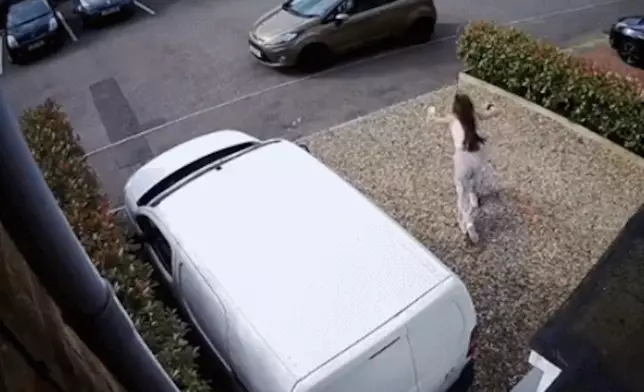 網上圖片