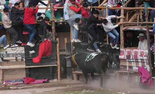 厄瓜多爾皮亞羅傳統「Toros Populares」節日期間，觀眾躲避一頭衝來的公牛。攝於2026年7月30日周四。(美聯社圖片/Dolores Ochoa) AP圖片