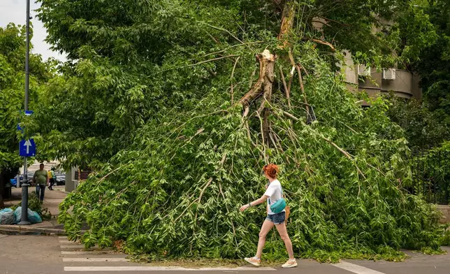一名女子在羅馬尼亞布加勒斯特走過一棵倒塌的樹木。當地前一晚遭雷暴吹襲後，攝於2026年7月1日周三。(美聯社圖片/ Andreea Alexandru) AP圖片