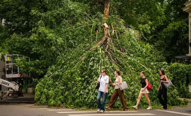 羅馬尼亞布加勒斯特，人們走過一條街道，背景是一棵倒塌的樹木。當地周二晚遭雷暴吹襲，周三（2026年7月1日）街道出現倒塌樹木。(美聯社圖片/ Andreea Alexandru) AP圖片