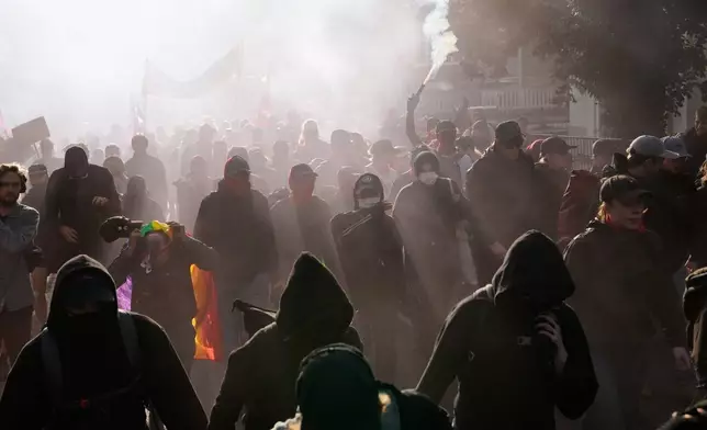 示威者在德國埃爾福特「德國另類選擇黨」（AfD）黨大會前聚集。 (美聯社圖片/Ebrahim Noroozi) AP圖片