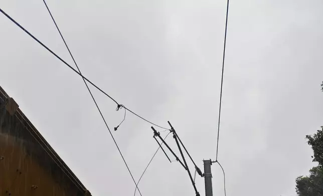 太和站附近亦有架空電纜因塌樹而受損