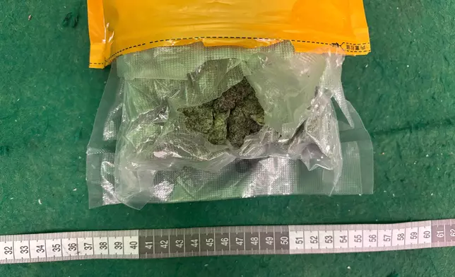 香港海關於機場偵破兩宗入境旅客販毒案件 政府新聞處圖片