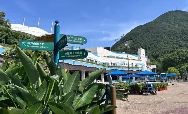 肯定的士車隊優質服務　持續支援邁向承諾規模。政府新聞處圖片