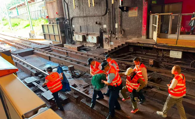 較早前警方及漁護署職員已將猴子帶離路軌範圍