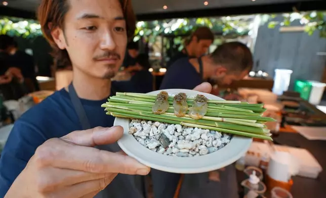 2026年7月28日周二，丹麥哥本哈根，一名廚師在高級餐飲Noma餐廳的廚房，在新季度開始前展示一道新魚菜式。(美聯社圖片/James Brooks) AP圖片