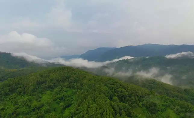 影片截圖 CGTN圖片