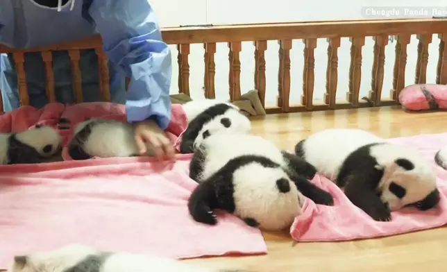 影片截圖 CGTN圖片
