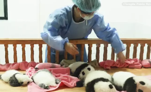 影片截圖 CGTN圖片