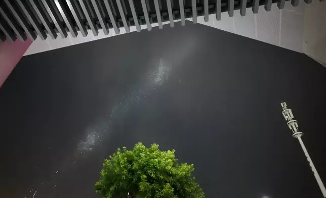 影片截圖 CGTN圖片