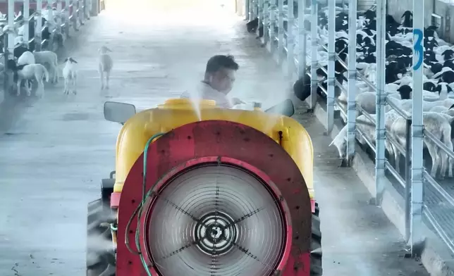 影片截圖 CGTN圖片