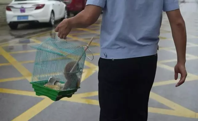 影片截圖 CGTN圖片