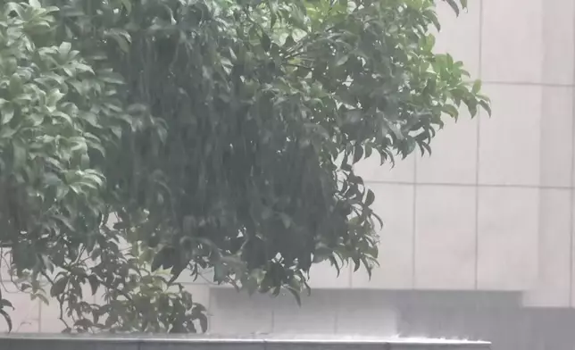 影片截圖 CGTN圖片