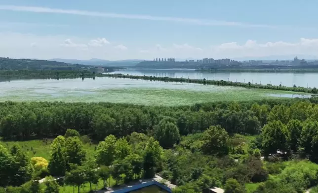 影片截圖 CGTN圖片