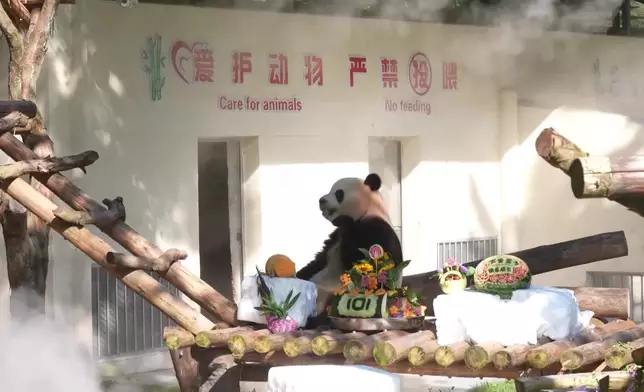 影片截圖 CGTN圖片