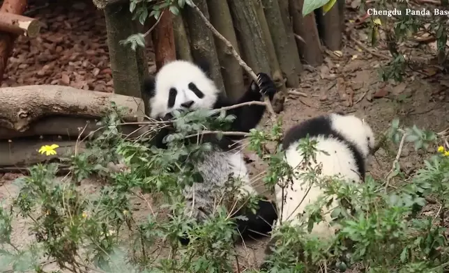 影片截圖 CGTN圖片