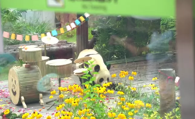 影片截圖 CGTN圖片